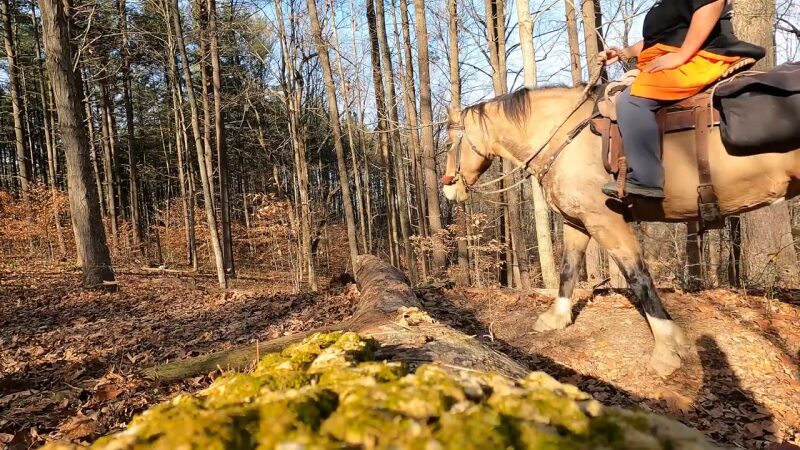 Blackwell Horsecamp Trail Riding