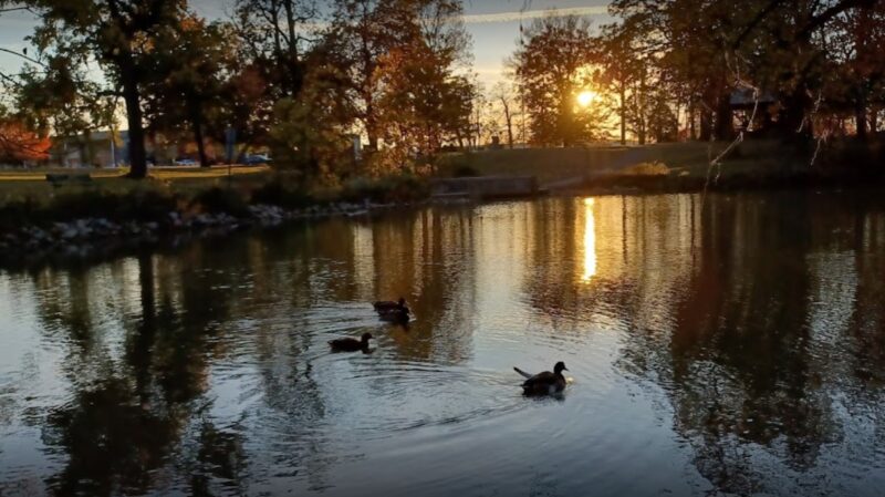 Lake at the Garvin Park