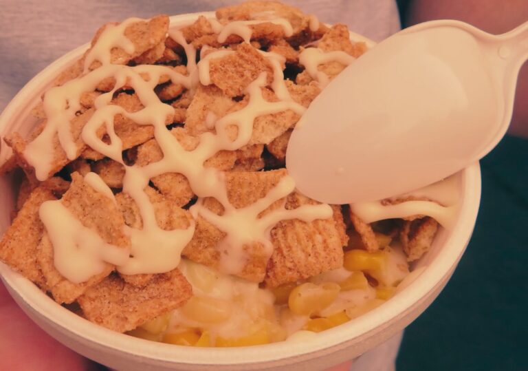 Food we try at the Indiana State Fair