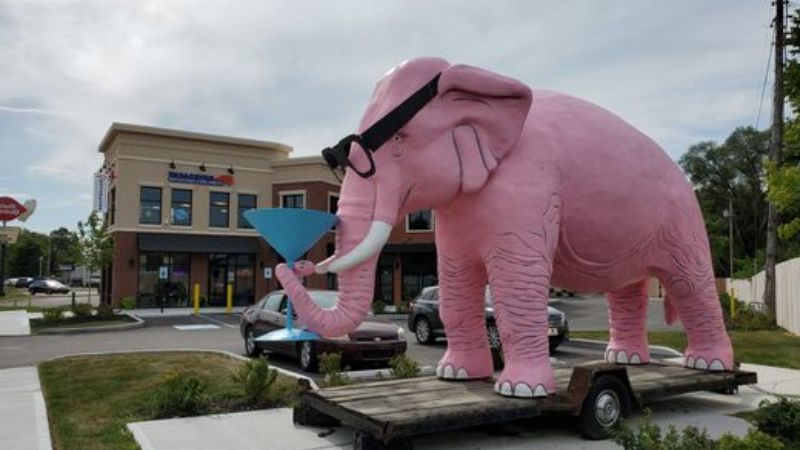 Pink Elephant in Martini Glass - Fortville