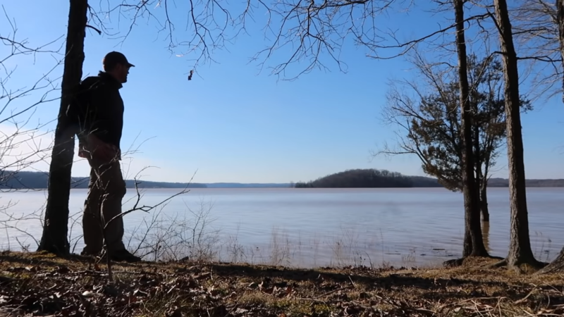 The Charles Deam Wilderness Wildlife Watching