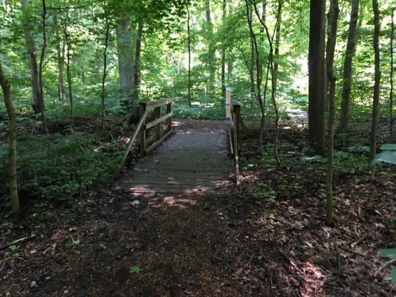 Hiking trails at the Wesselman Woods Nature Preserve